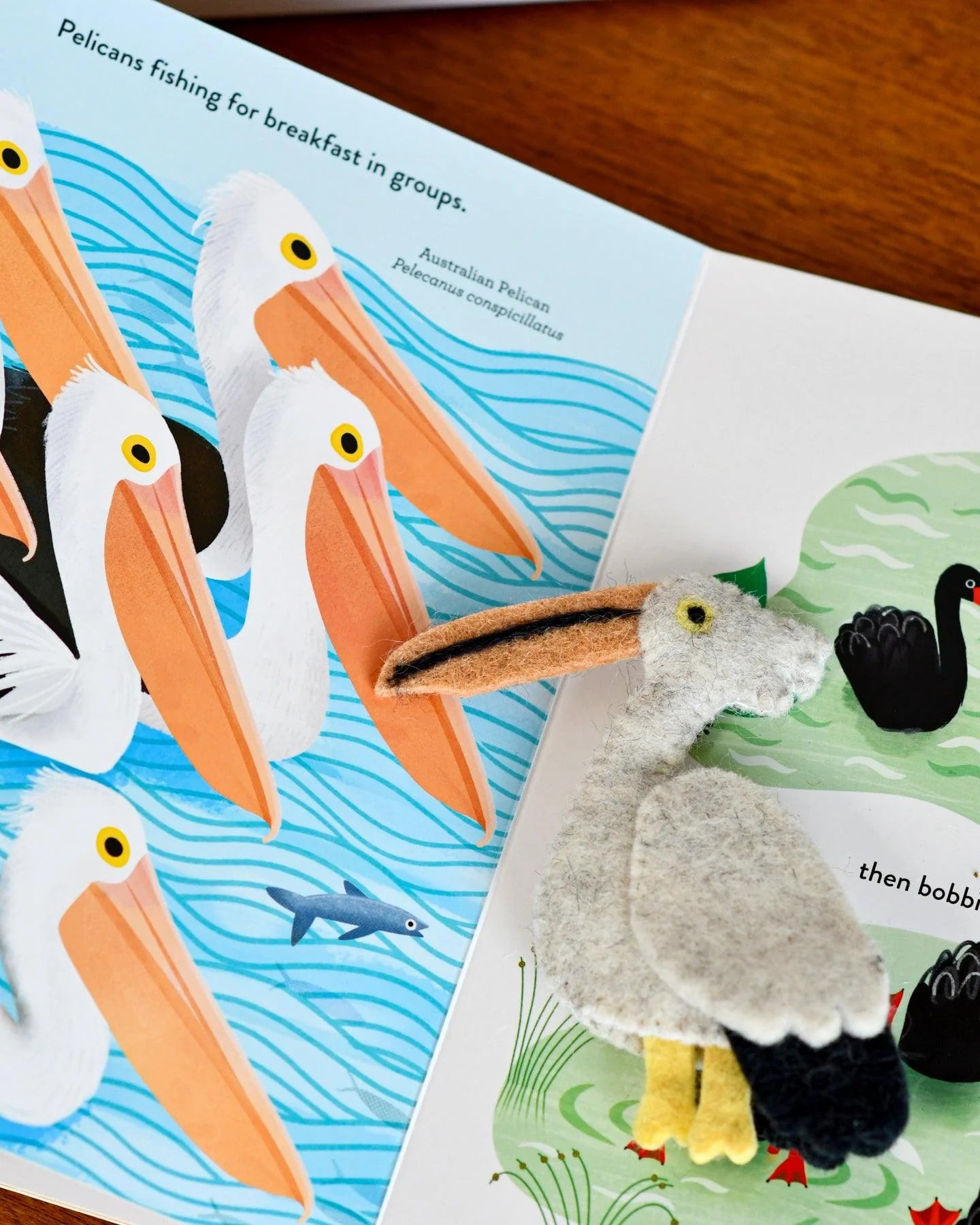 Busy Beaks Book & Finger Puppet Gift Set - Tara's Treasure