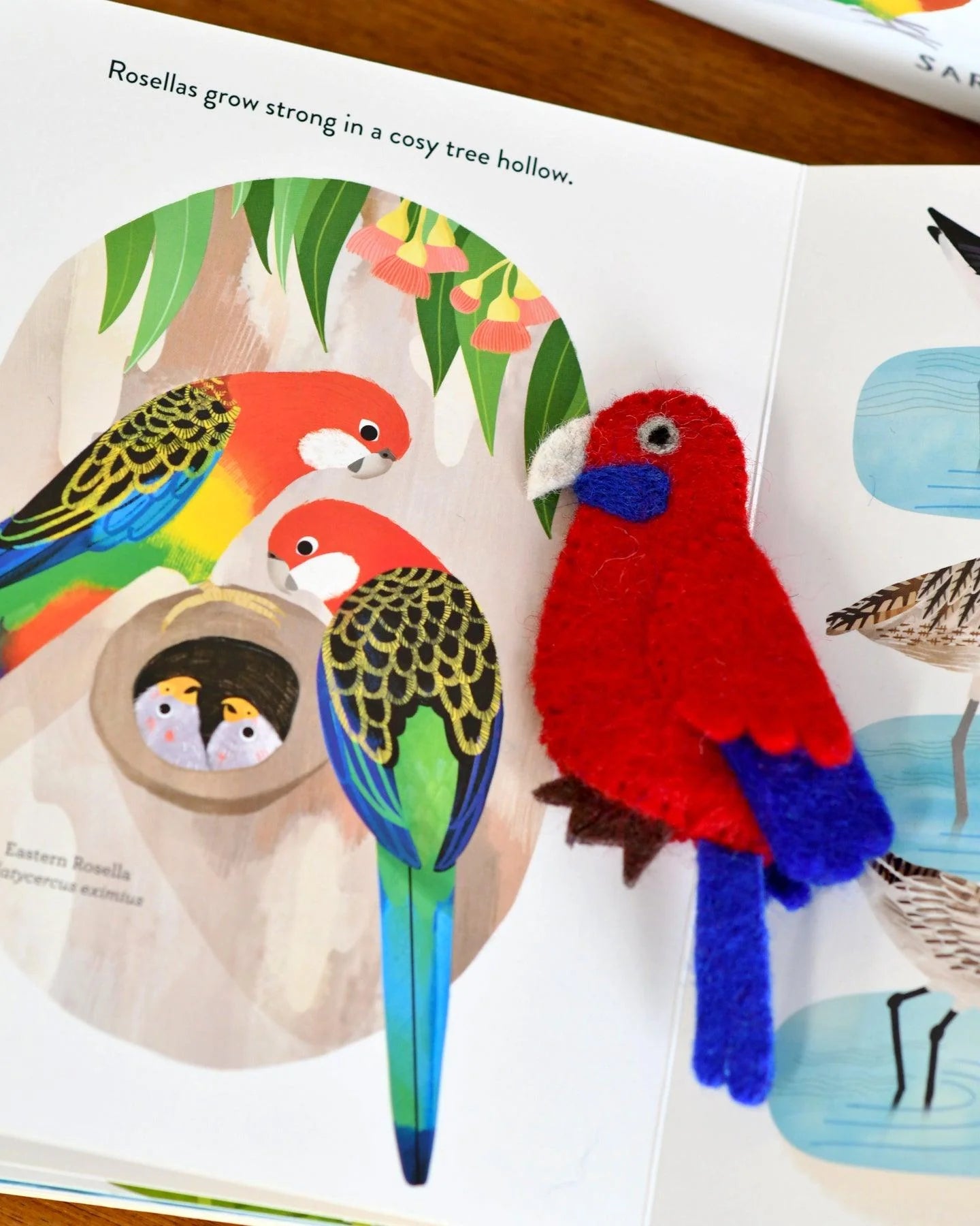 Busy Beaks Book & Finger Puppet Gift Set - Tara's Treasure