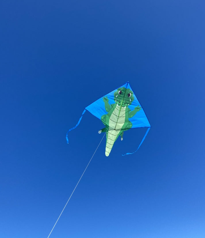 Crocodile Kite