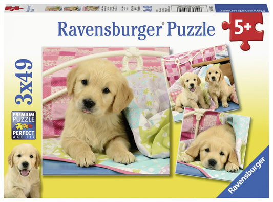 Cute Puppy Dogs Puzzle 3x49pc