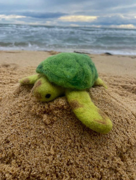 Felt Sea Turtle