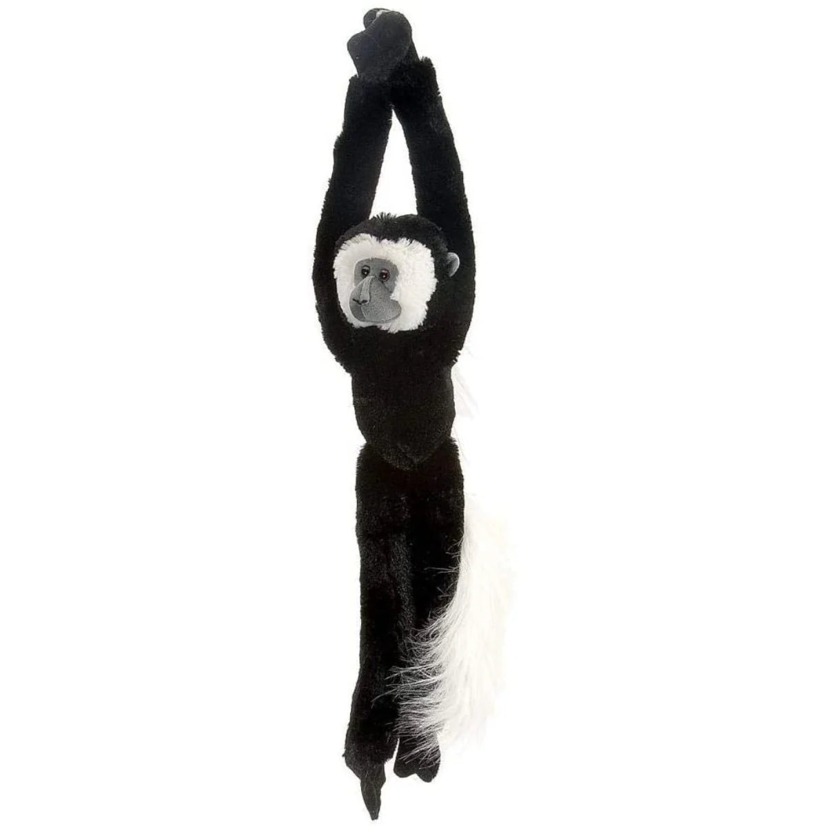 Hanging Colobus Monkey