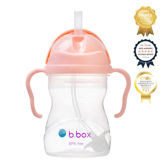 b.box Sippy Cup Gelato - Tutti Frutti