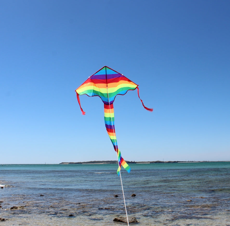 Small Rainbow Kite